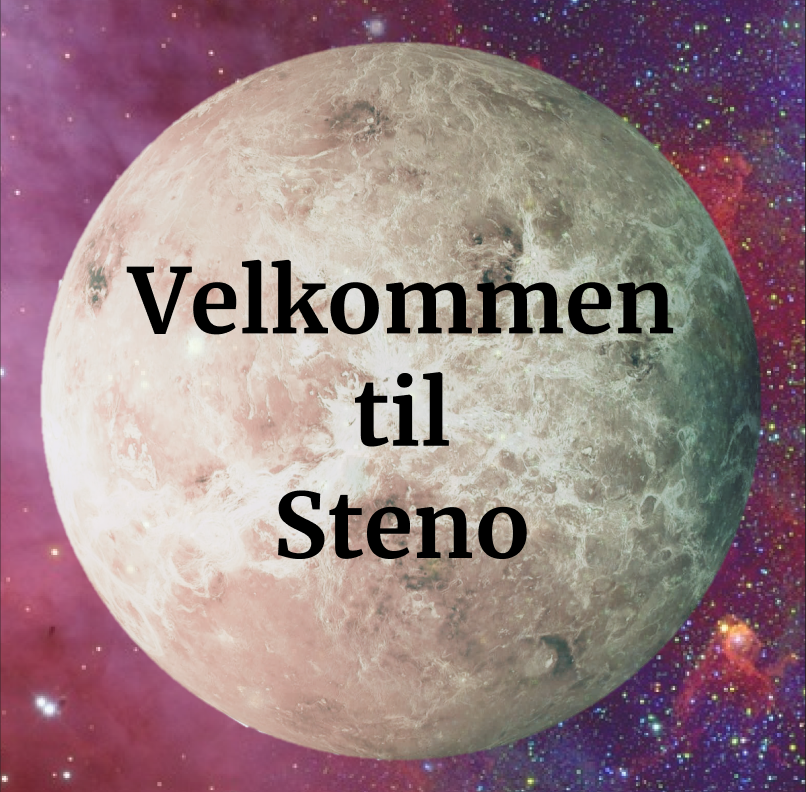 steno ny
